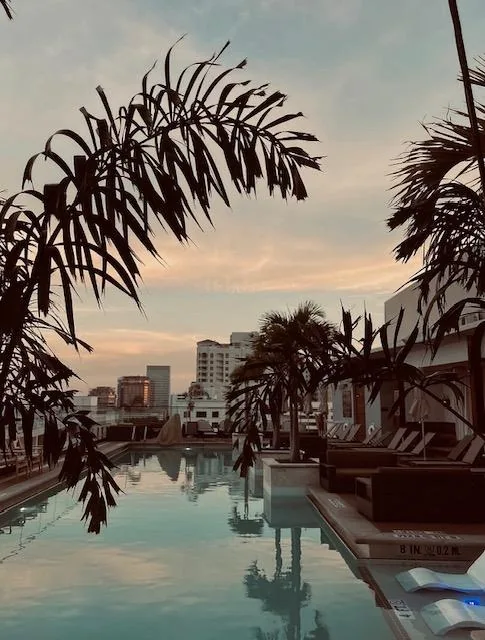 Rooftop pool at golden hour on the Palm Beach Edit circuit